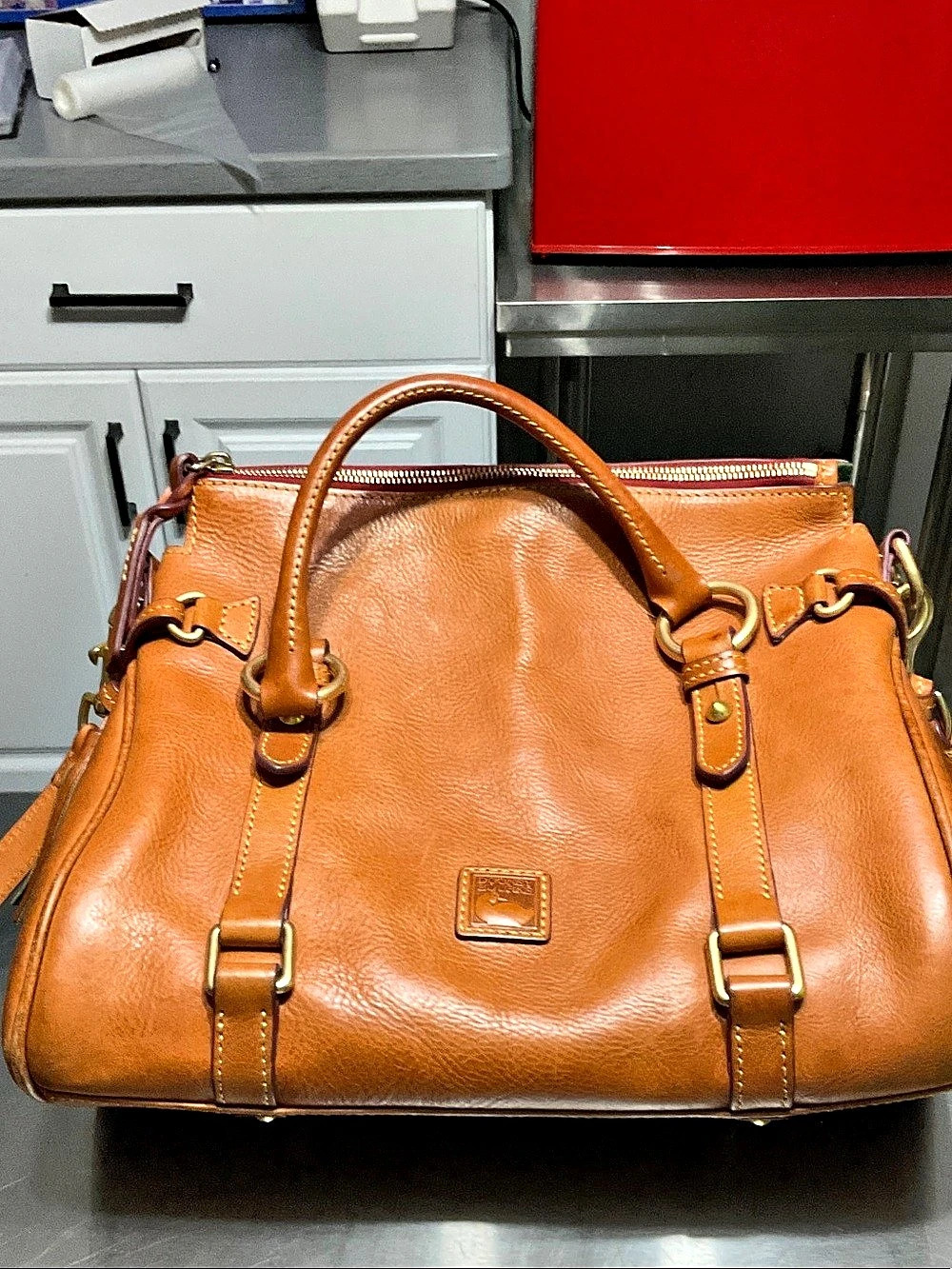Dooney & Bourke Florentine Satchel Leather Brown & Red